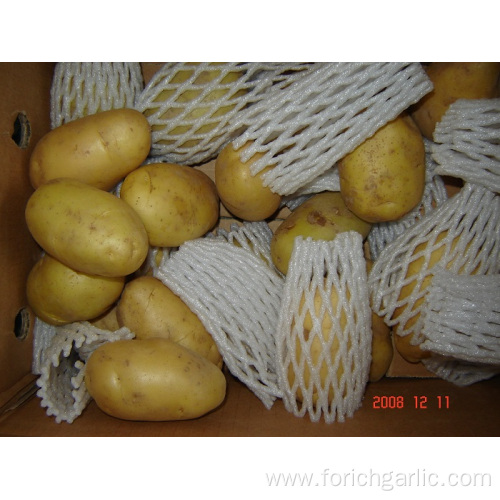 Good Quality Fresh Potato In Competitive Price